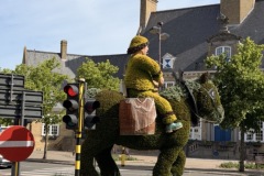 IMG_1484-Groot