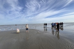 IMG_9570-Groot